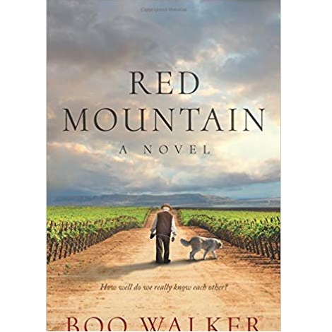 Red Mountain by Boo Walker