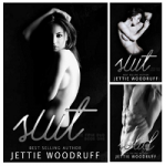 The Twin Duo Series by Jettie Woodruff PDF Download