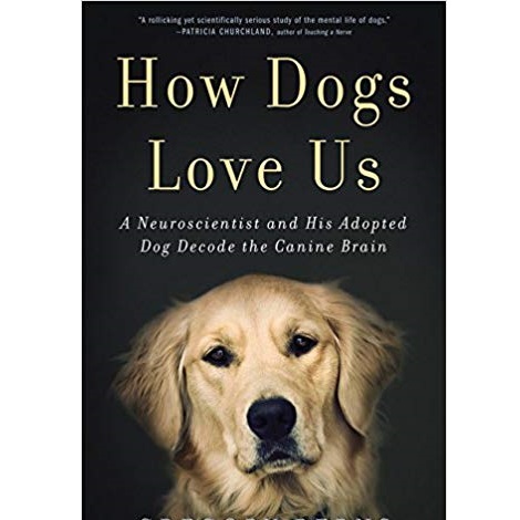 How Dogs Love Us by Gregory Berns