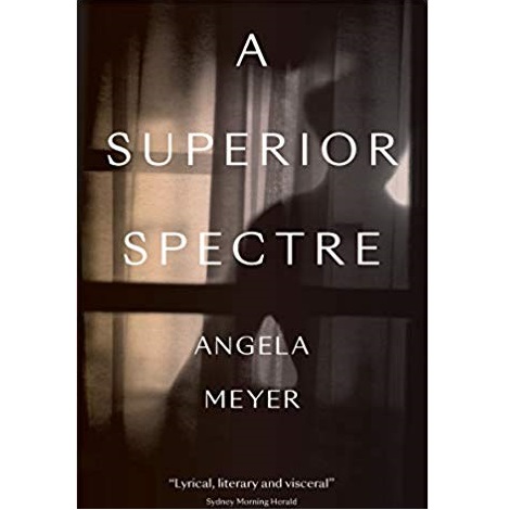 A Superior Spectre by Angela Meyer 