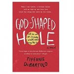 God-Shaped Hole by Tiffanie DeBartolo