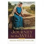 Journey to the Well by Diana Taylor