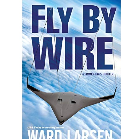 Fly By Wire by Ward Larsen 