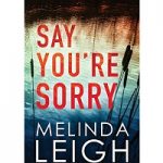 Say You're Sorry by Melinda Leigh