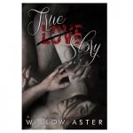True Love Story by Willow Aster ePub