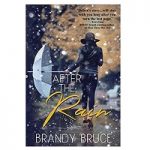 After the Rain by Brandy Bruce