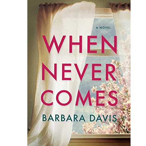 When Never Comes by Barbara Davis
