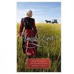 An Amish Love by Amy Clipston