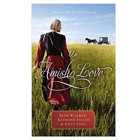 An Amish Love by Amy Clipston