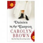 Daisies in the Canyon by Carolyn Brown