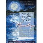 I Wasn't Ready to Say Goodbye by Brook Noel