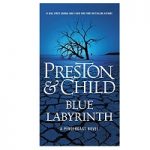 Blue Labyrinth by Douglas Preston