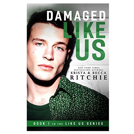 Damaged Like Us by Krista Ritchie