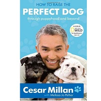 How to Raise the Perfect Dog by Cesar Millan