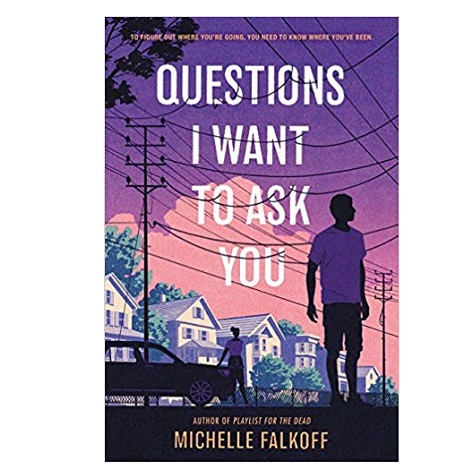 Questions I Want to Ask You by Michelle Falkoff 