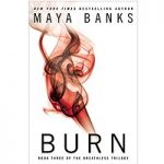 Burn by Maya Banks