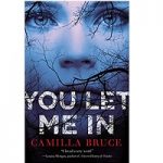 You Let Me In by Camilla Bruce
