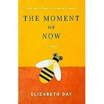 The Moment of Now by Elizabeth Day ePub