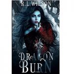 Dragon Burn by R.L. Wilson