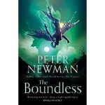 The Boundless by Peter Newman ePub