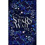 The Stars Wait Not by Anne Wheeler ePub