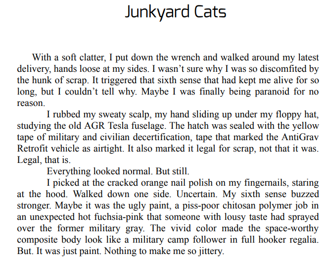 Junkyard Cats Series by Faith Hunter epub