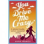 You Drive Me Crazy by Anna Premoli