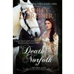 A Death in Norfolk by Ashley Gardner