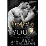 Breaking You by J.L. Beck