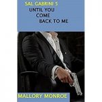 Sal Gabrini Five by Mallory Monroe