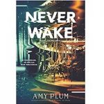 Neverwake by Amy Plum