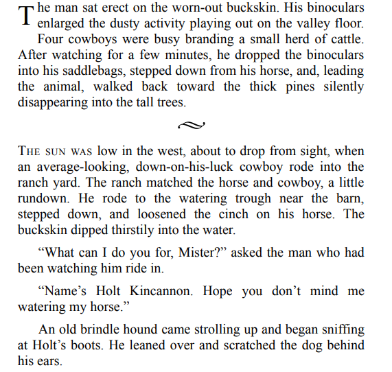 Rustlers in the Sage by Donald L. Robertson