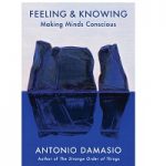 Feeling and Knowing by Antonio Damasio