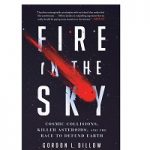 Fire in the Sky by Gordon L. Dillow