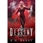 Destiny by K. N. Banet ePub