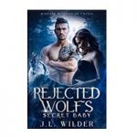 Rejected Wolf's Secret Baby by J.L. Wilder
