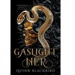 Gaslight Her by Quinn Blackbird ePub