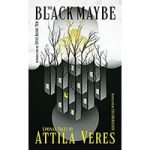 The Black Maybe Liminal Tales by Attila Veres ePub