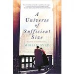 A Universe of Sufficient Size by Miriam Sved ePub