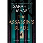 The Assassin's Blade by Sarah J. Maas ePub