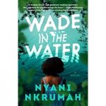 Wade in the Water by Nyani Nkrumah ePub