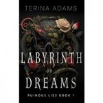 Labyrinth of Dreams by Terina Adams ePub