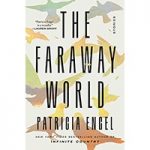 The Faraway World Stories by Patricia Engel ePub