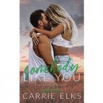 Somebody Like You by Carrie Elks ePub