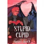 Stupid Cupid by Maeve black ePub