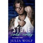 Stone Cold Notes by Julia Wolf ePub