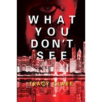What You Don't See by Tracy Clark ePub