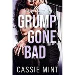 Grump Gone Bad by Cassie Mint ePub