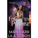 Forgotten Promise by Mari Carr & Lila Dubois ePub