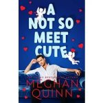 A Not So Meet Cute by Meghan Quinn ePub